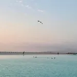 Ensuenos En Laguna Del Mar